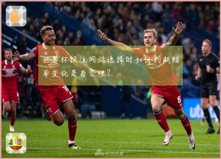 世界杯投注网站选择时如何判断赔率变化是否合理？