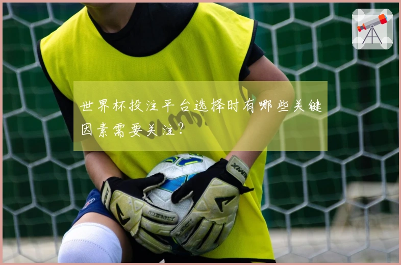 世界杯投注平台选择时有哪些关键因素需要关注？