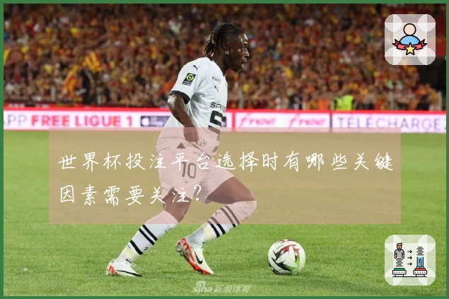 世界杯投注平台选择时有哪些关键因素需要关注？