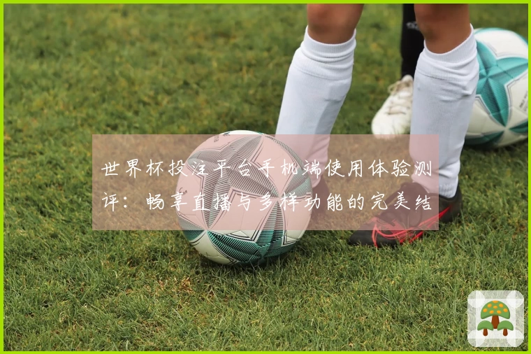 世界杯投注平台手机端使用体验测评：畅享直播与多样功能的完美结合