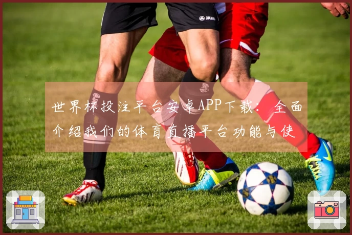 世界杯投注平台安卓APP下载：全面介绍我们的体育直播平台功能与使用体验