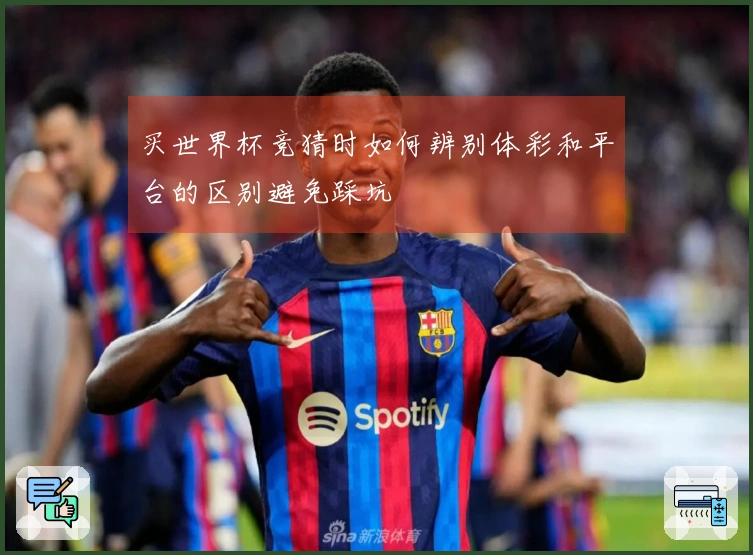 买世界杯竞猜时如何辨别体彩和平台的区别避免踩坑