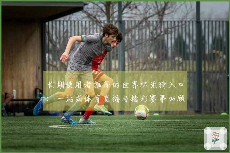 长期使用者推荐的世界杯竞猜入口：一站式体育直播与精彩赛事回顾平台介绍