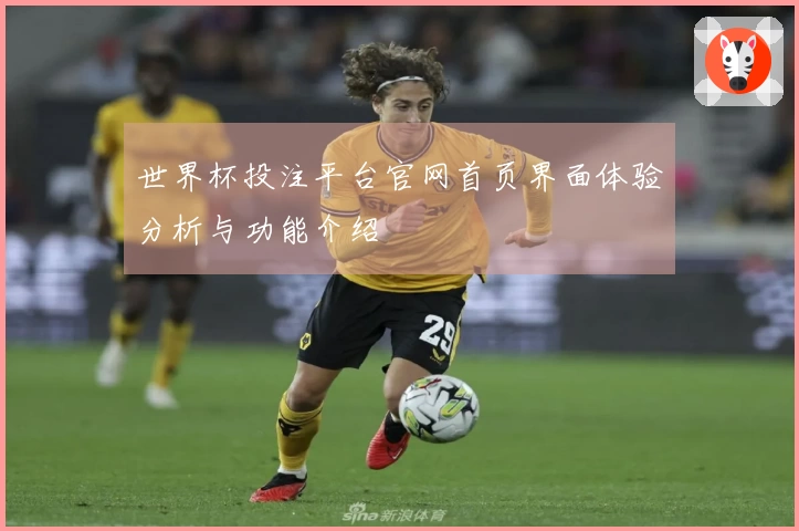 世界杯投注平台官网首页界面体验分析与功能介绍