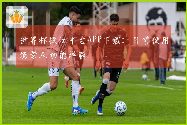 世界杯投注平台APP下载：日常使用场景及功能详解